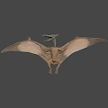 Detailed Pterosaur Model With Open Mouth Extended Wings And Realistic Texture
