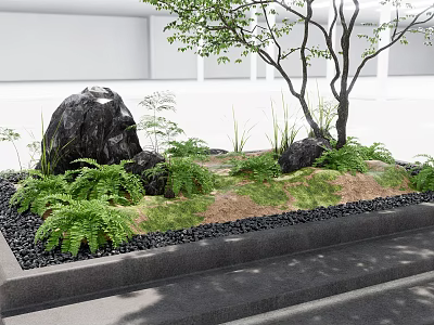 Tranquil Courtyard Garden With Black Rocks Tree Ferns Grass Black Pebbles And Stone Steps 3d model