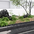Tranquil Courtyard Garden With Black Rocks Tree Ferns Grass Black Pebbles And Stone Steps