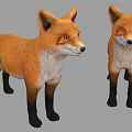 Two Cute Foxes 3D Models With Orange And White Fur Black Legs On Grey Background