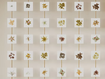 Background Wall Decorative Arrangement of Pressed Plant Specimens on White Cards 3d model