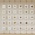 Background Wall Decorative Arrangement of Pressed Plant Specimens on White Cards