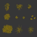 Various Green Plants Including Grass Shrubs and Leafy Sprouts Arranged on Gray Background