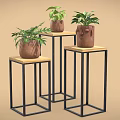 Bonsai Potted Plants On Black Metal Stands With Brown Face Carved Pots And Green Foliage