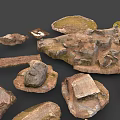 Wood and Stone Natural Materials Featuring Moss Covered Surfaces and Various Shapes