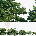 Modern balsam fir shrub hedgerow combination outdoor garden courtyard shrub low tree hedgerow plant combination tree balsam fir shrub hedgerow combination 3d model