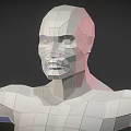Low Poly 3D Human Figure Model Showcasing Biological Structure With Arms Outstretched And Anatomical Features 3d model