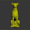 An orange and white dog sitting calmly on dark reflective surface with relaxed posture