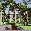 Wooden Pergola Covered With Vines And Grapes Near Trees Grass Easel And Basket