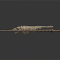 Detailed 3D Animal Skeleton Model with Full Body and Long Bone Structure
