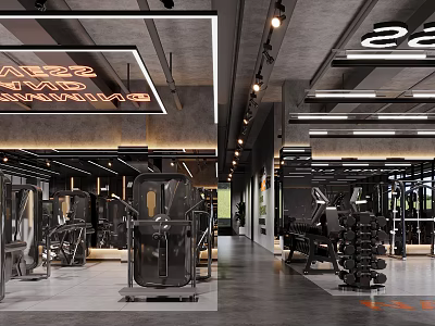 Modern Gym Interior With Fitness Equipment Training Machines And Bright Lighting 3d model