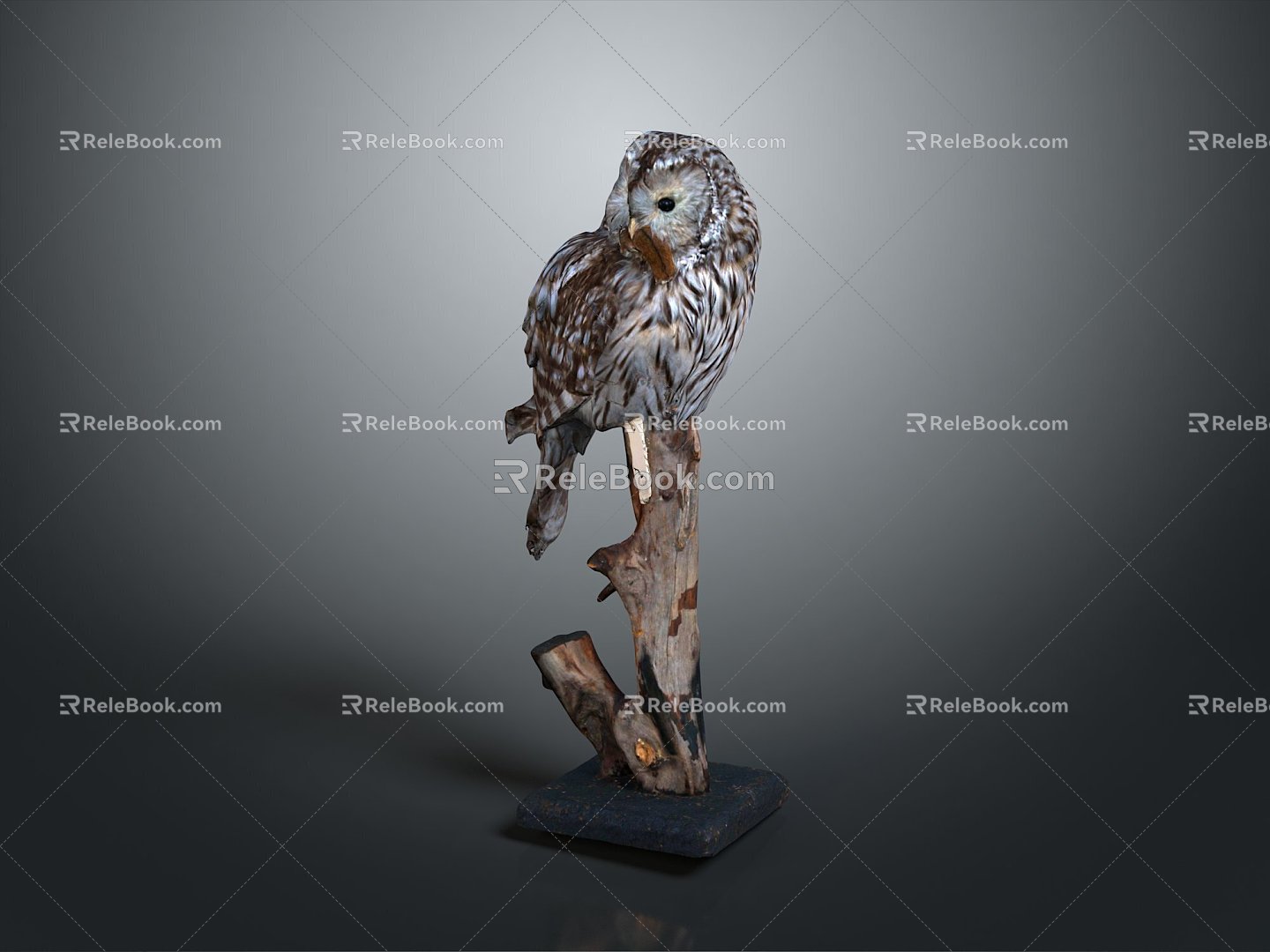 Owl grimace owl long-eared owl wulin owl monkey face owl carved owl 3d model