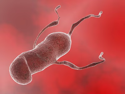 3D Anatomical Rendering of Microorganism With Flagella on Red Background 3d model