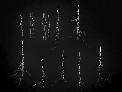 White Lightning Shaped Decorative Ornament Set With Branch Like Design Arranged On Black Background 3d model