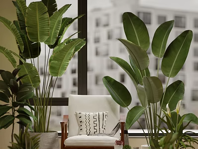 Indoor Window Plant Combination With Large Leaf Greenery And Accent Chair Decor 3d model