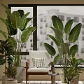 Indoor Window Plant Combination With Large Leaf Greenery And Accent Chair Decor