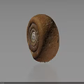 Spiral Brown Textured Snail Shell Isolated On Dark Background With Shiny Surface 3d model