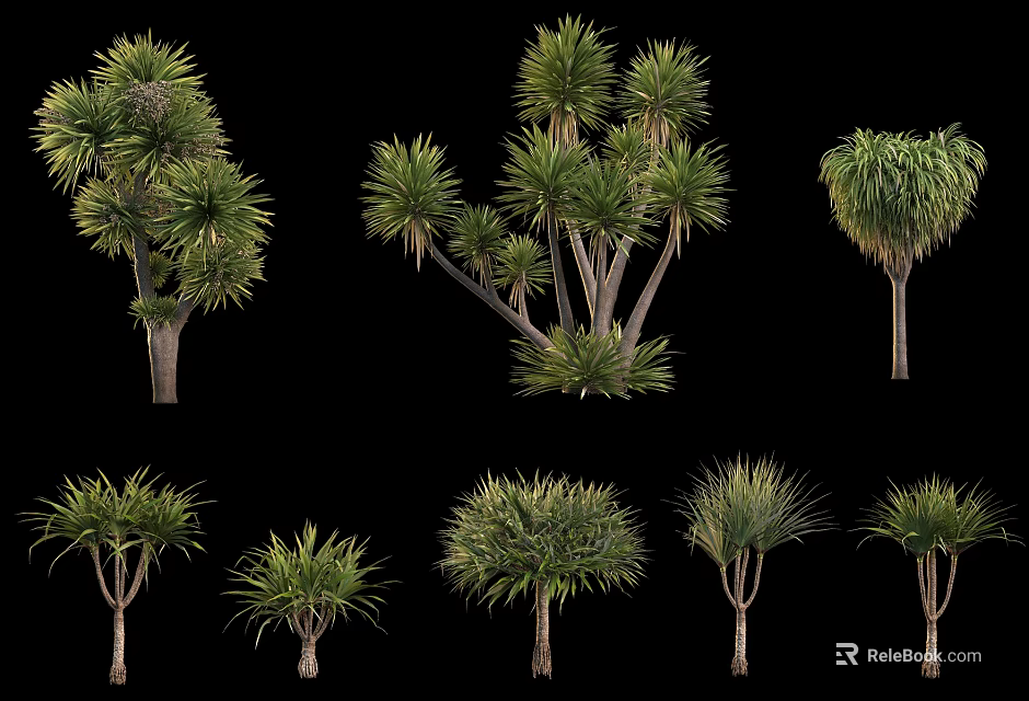 Various Arborescent Trees Displaying Different Growth Forms And Green Foliage 3d model 