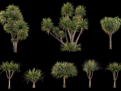 Various Arborescent Trees Displaying Different Growth Forms And Green Foliage 3d model