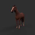 Brown Horse With White Face And Hooves Standing In 3D Rendering