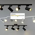 Track Mounted Black and White Downlights and Spotlights with Multiple Illuminating Heads