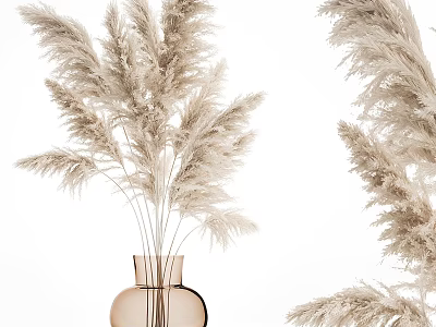 Minimalist Beige Pampas Grass in Amber Glass Vase for Modern Interior Decor 3d model