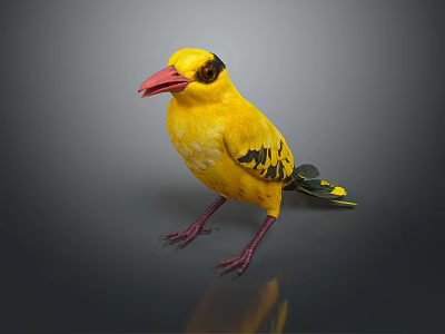 Vibrant Yellow Bird With Red Beak Black Markings On Wings Standing On Reflective Surface 3d model