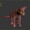 Hairless Sphynx Cat With Bright Green Eyes Standing On Dark Surface