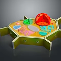 Colored Cell Structure Model Medical Device for Medical Education with Hexagonal Base and Components 3d model