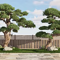 Natural Tree Pit With Pine Trees Wooden Fence Grass Stones And Stone Pavement