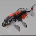 Colorful Koi Fish With Red White Black Patterns And Shiny Surface Reflection 3d model
