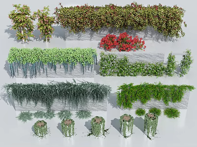 Various Decorative Vines For Indoor Outdoor Wall Greenery Decoration And Landscaping 3d model
