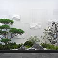 Indoor Landscape With Green Pine Tree Decorative Rocks And White Textured Wall