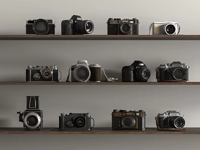 Various Vintage and Modern Digital Cameras Displayed on Three Wooden Shelves 3d model