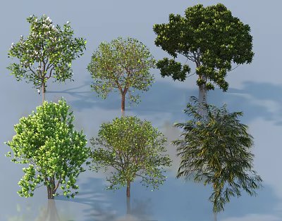 Collection of Different Arbor Trees Featuring Green Foliage and Unique Canopy Shapes 3d model