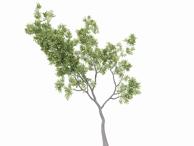landscape tree 3d model