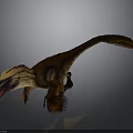 Feathered Dinosaur With Long Tail And Brown Yellow Red Plumage In Dynamic Pose