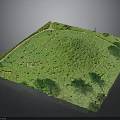 Green Lawn Surface With Pathway And Tree Shadows In Open Area