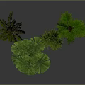 Different Types of Green Potted Plants In Cylindrical Pots Against Gray Background
