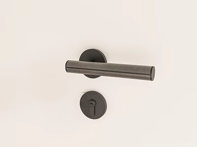 Sleek Modern Metal Door Handle Design With Round Keyhole And Minimalist Finish 3d model