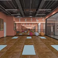 Fitness Studio With Yoga Mats Fitness Balls Barres Mirrors And Dance Decor On Wooden Floor