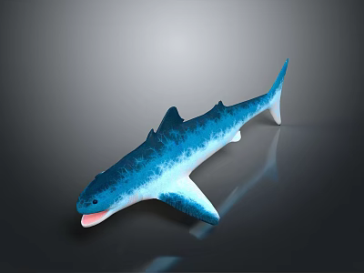 Blue And White Shark Model With Shiny Reflective Surface On Gray Background 3d model