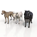 Realistic Animal Sculptures Featuring Dog Sheep And Wolf Carved Figurines