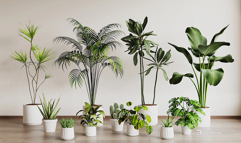 Indoor Decorative Bonsai Potted Plants With Various Green Foliage In White Ceramic Pots 3d model 