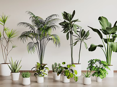 Indoor Decorative Bonsai Potted Plants With Various Green Foliage In White Ceramic Pots 3d model