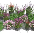 Colorful Bonsai Potted Plants With Purple Pink Flowers And Green Leaves For Home Decor