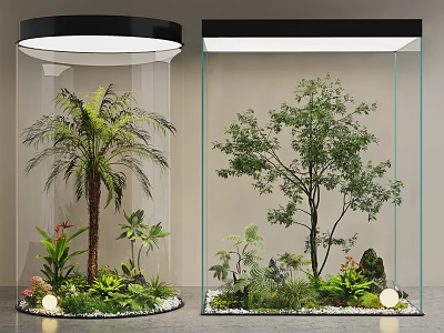 Indoor Landscapes in Glass Containers With Palm Trees Green Plants Pebbles and Small Lights 3d model