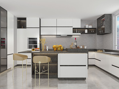 Modern Kitchen model