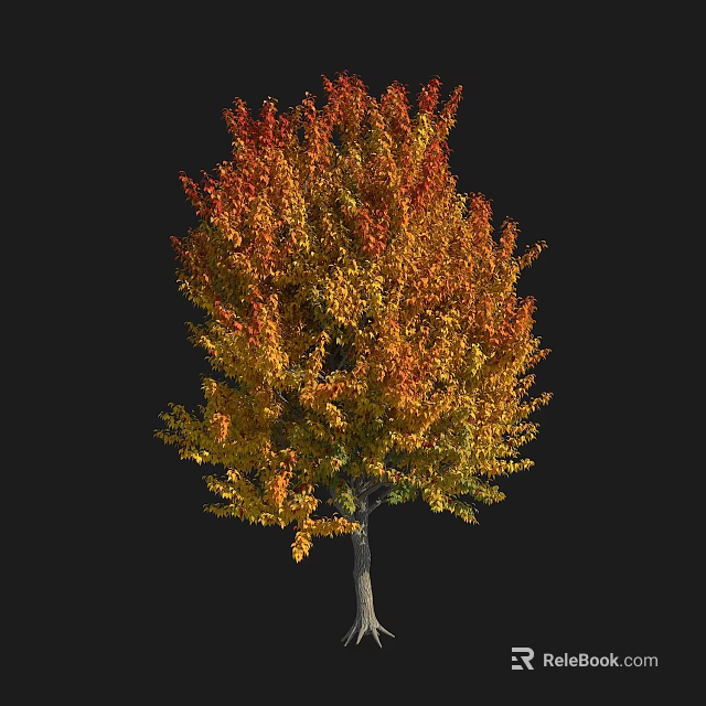 Arbor Featuring Vibrant Red And Yellow Autumn Leaves On Slender Trunk 3d model 