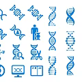 Science Themed Wall Decor With DNA Double Helix Microscope Scissors And Science Icons 3d model